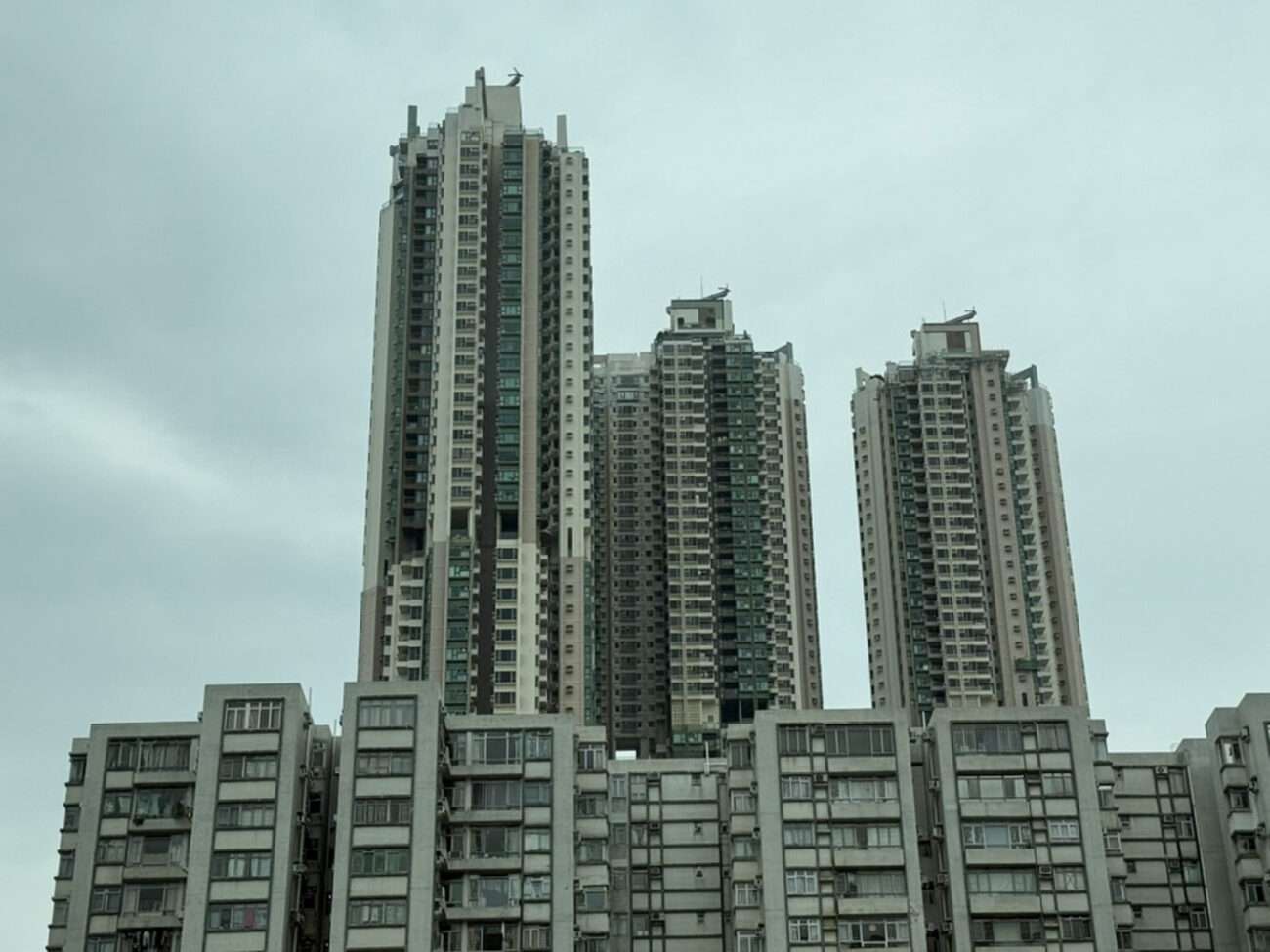 Vernetzung und Lehre in Hongkong