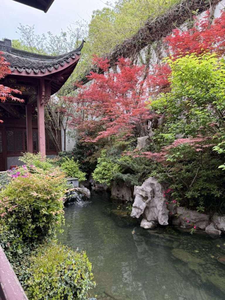 Neue Ehren in China