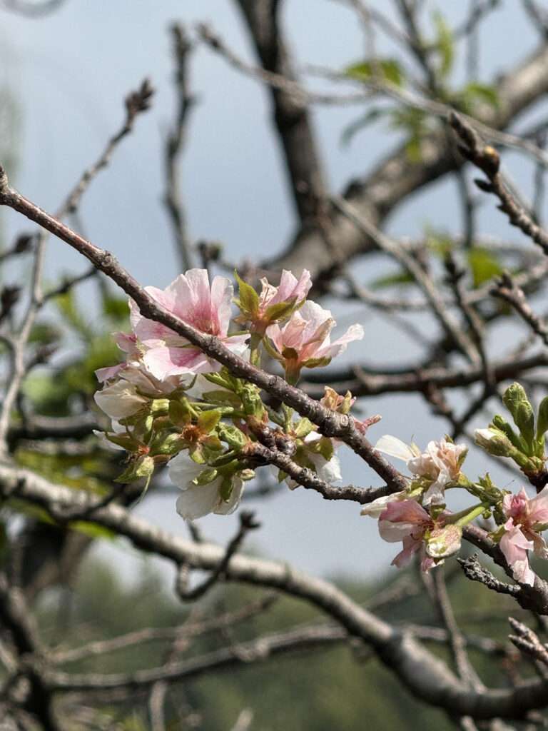 Neue weltumspannende Zusammenarbeit vereinbart