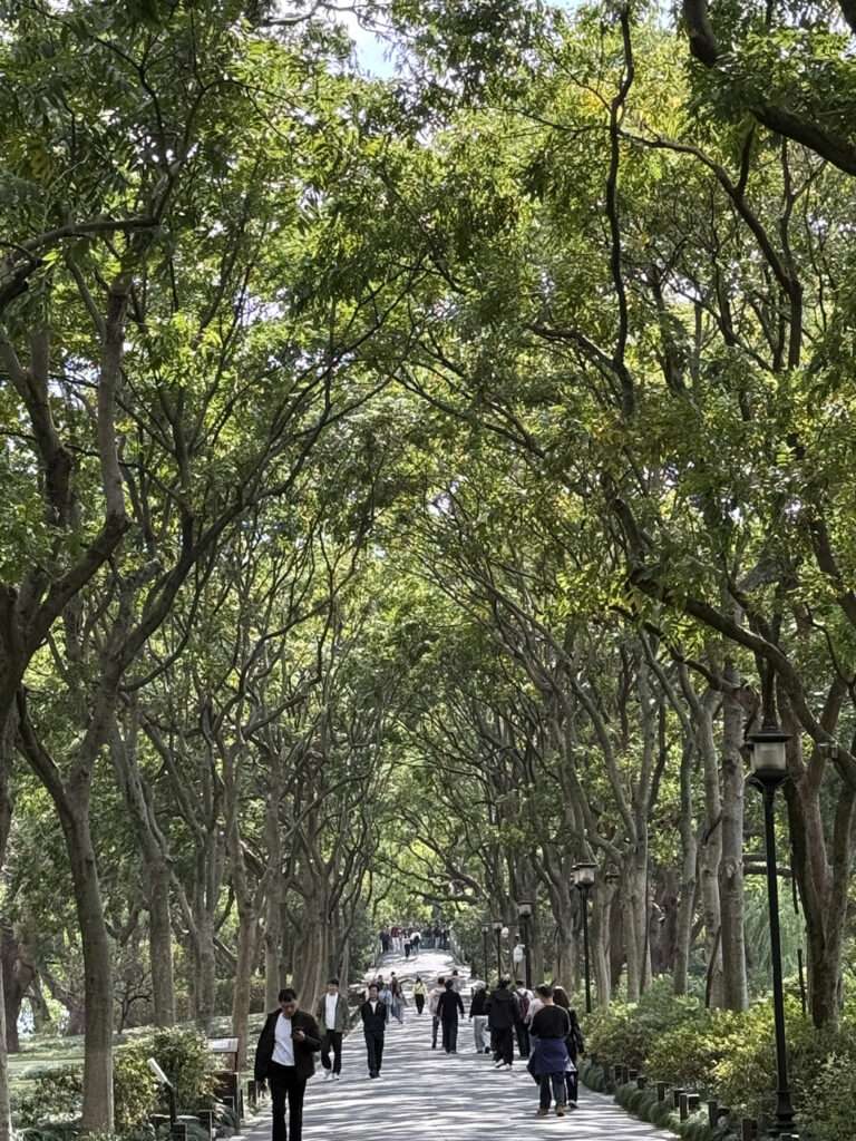 Neue weltumspannende Zusammenarbeit vereinbart